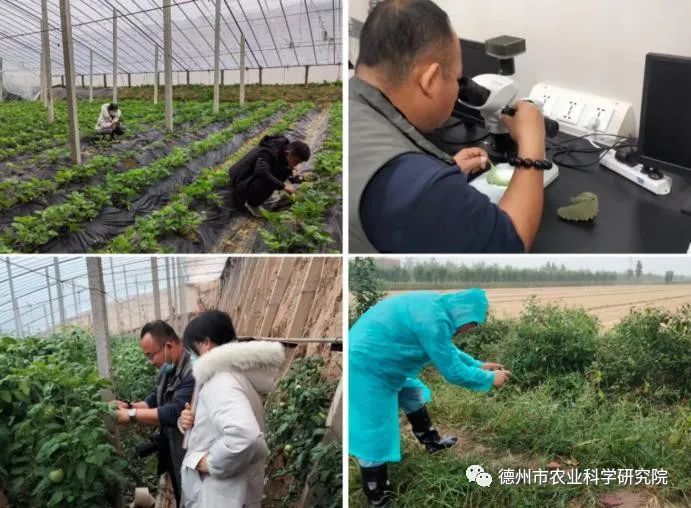 1678246610168908.jpeg 1678246610168908.jpeg