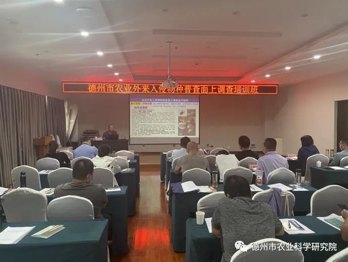 1678246780148843.jpeg 1678246780148843.jpeg