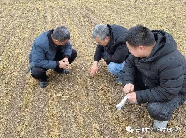 1678261448213244.jpeg 1678261448213244.jpeg