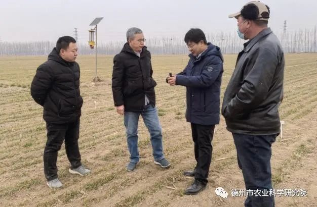 1678261448731146.jpeg 1678261448731146.jpeg