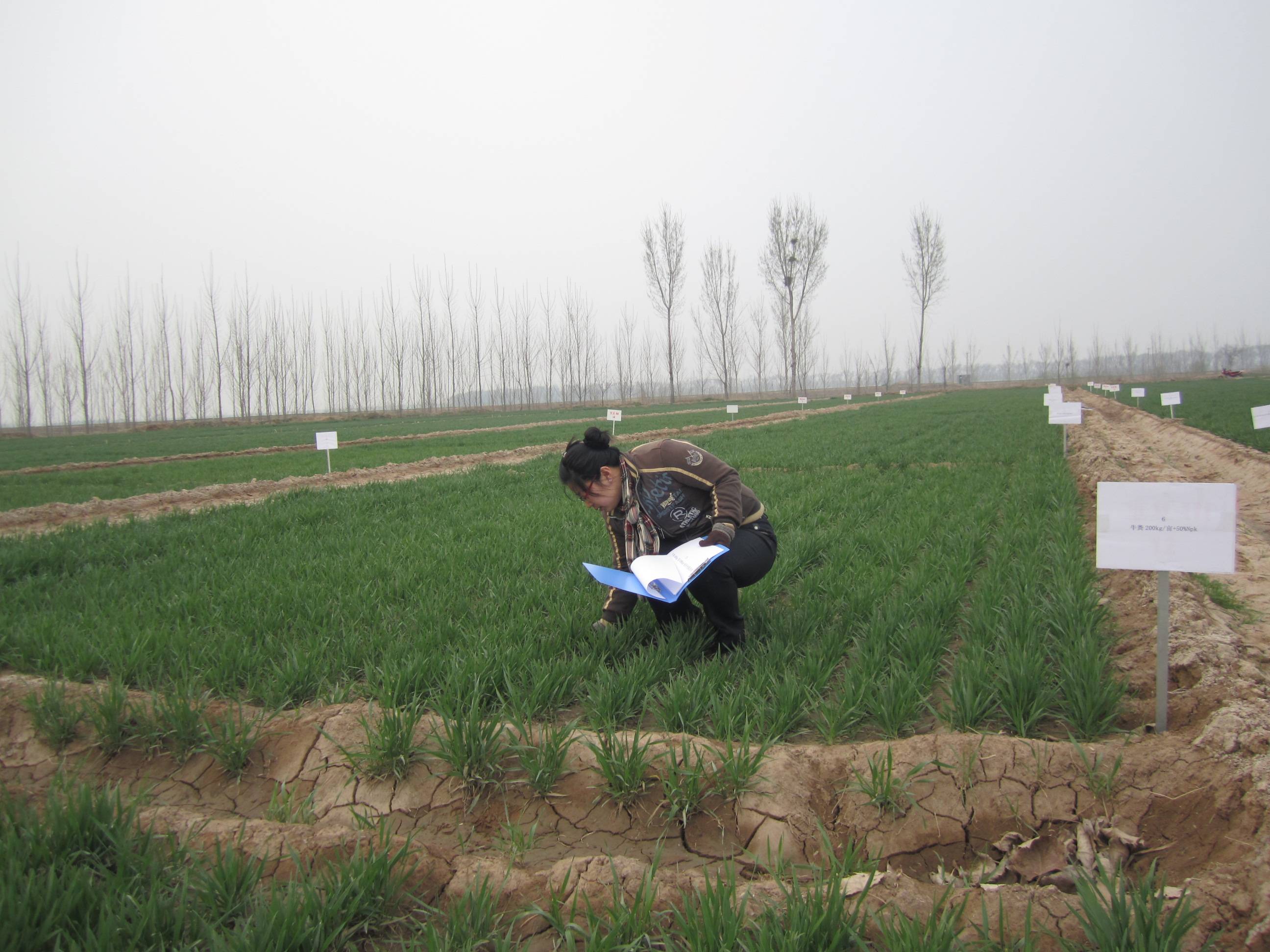 1678263590295805.jpg 1678263590295805.jpg