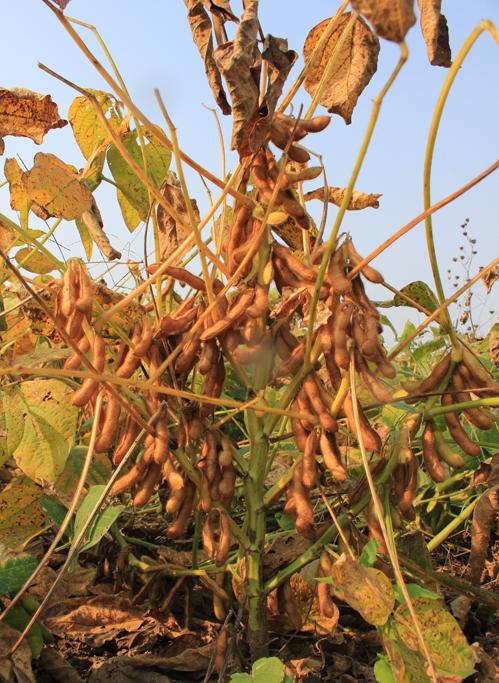 1678774587945407.jpg 1678774587945407.jpg