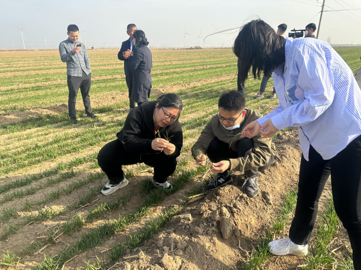 1678876299103683.png 1678876299103683.png