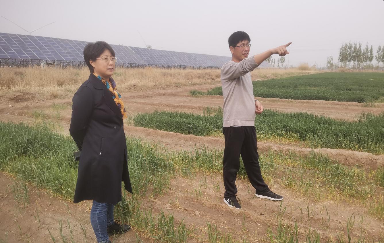 1681720851508201.jpg 1681720851508201.jpg