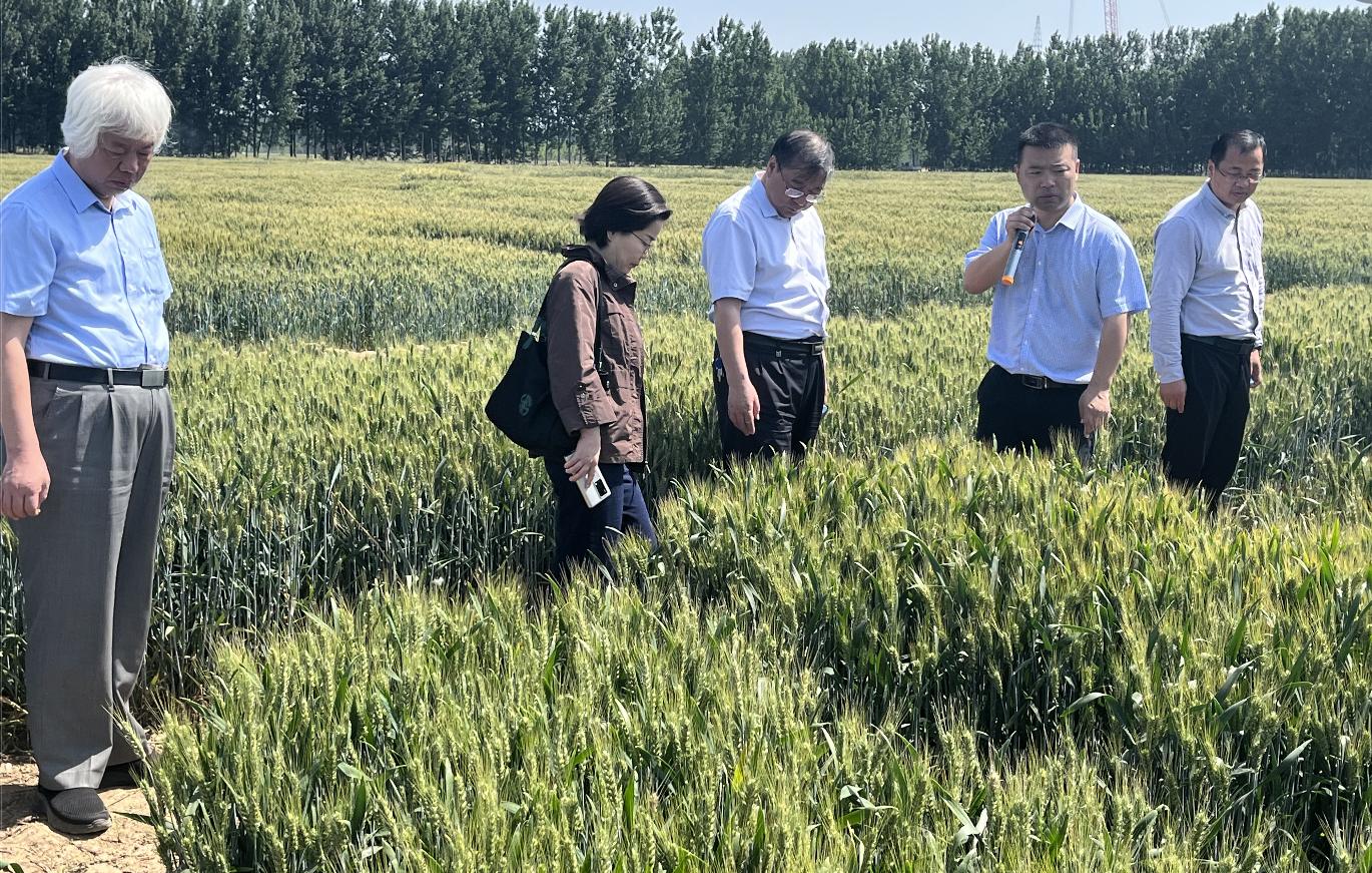 1684909396135449.jpg 1684909396135449.jpg