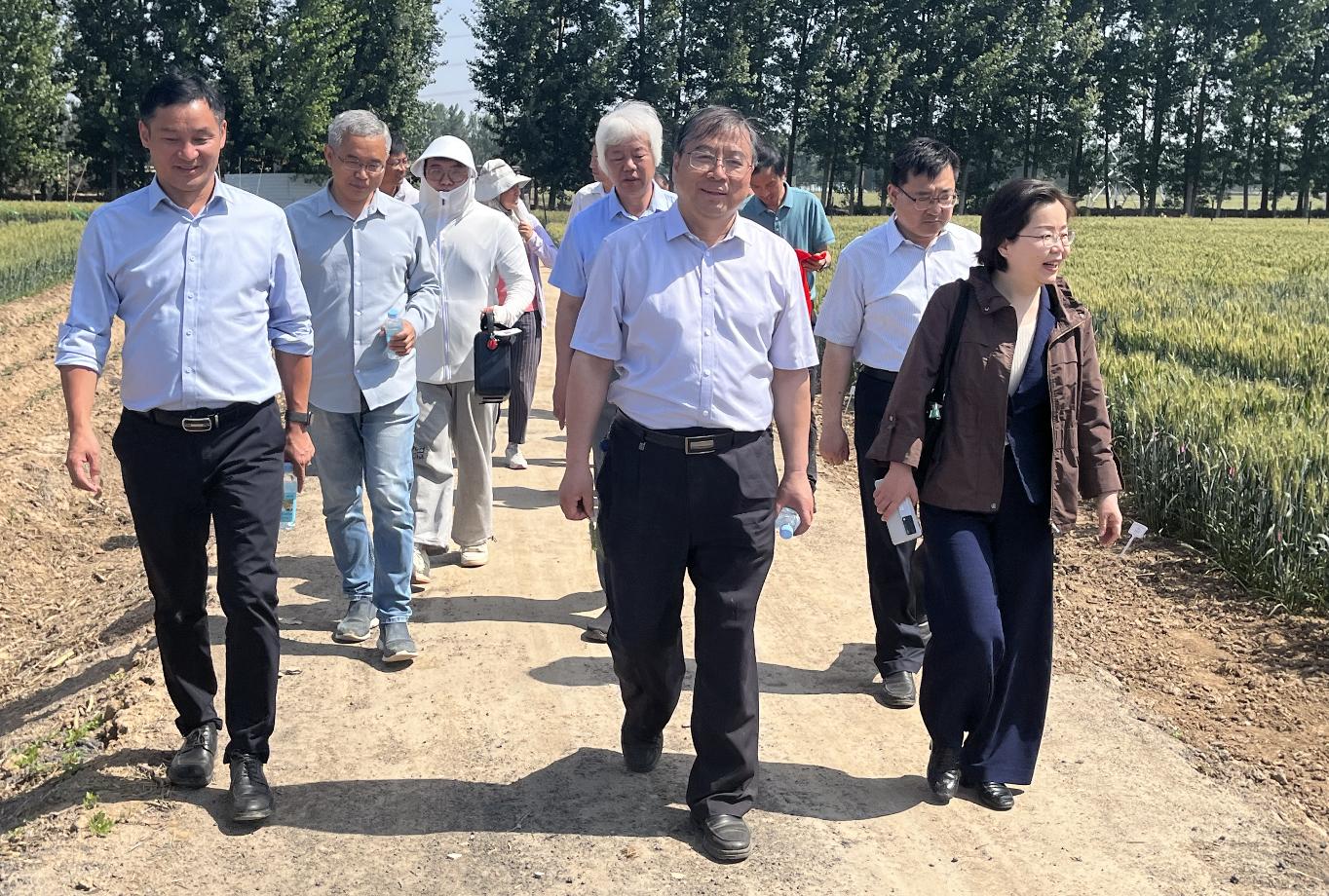 1684909396983852.jpg 1684909396983852.jpg