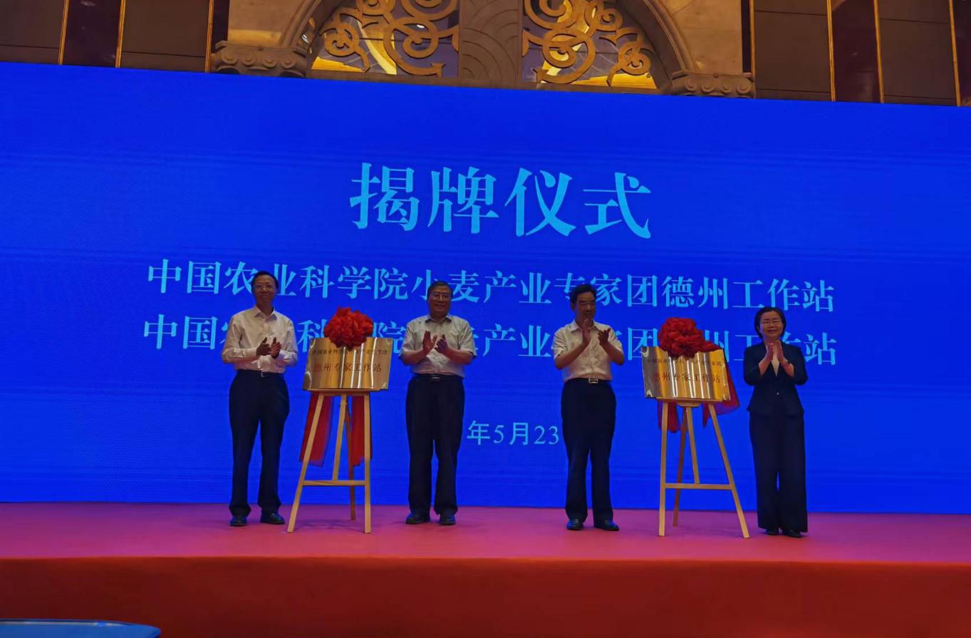 1684909538870858.jpg 1684909538870858.jpg