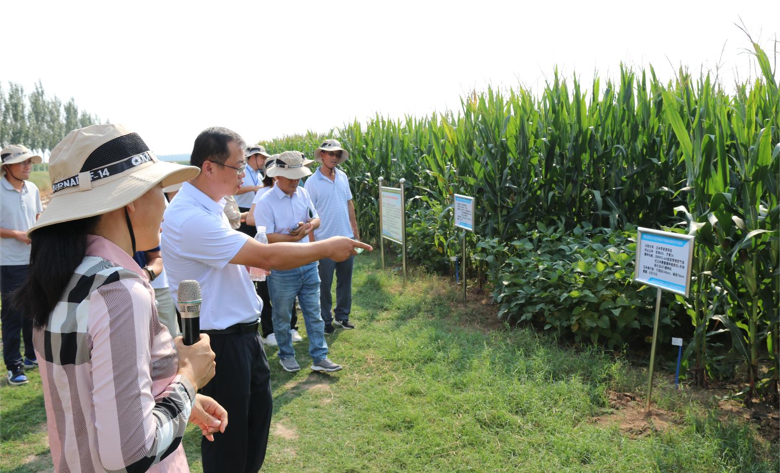 1695005539744260.jpg 1695005539744260.jpg