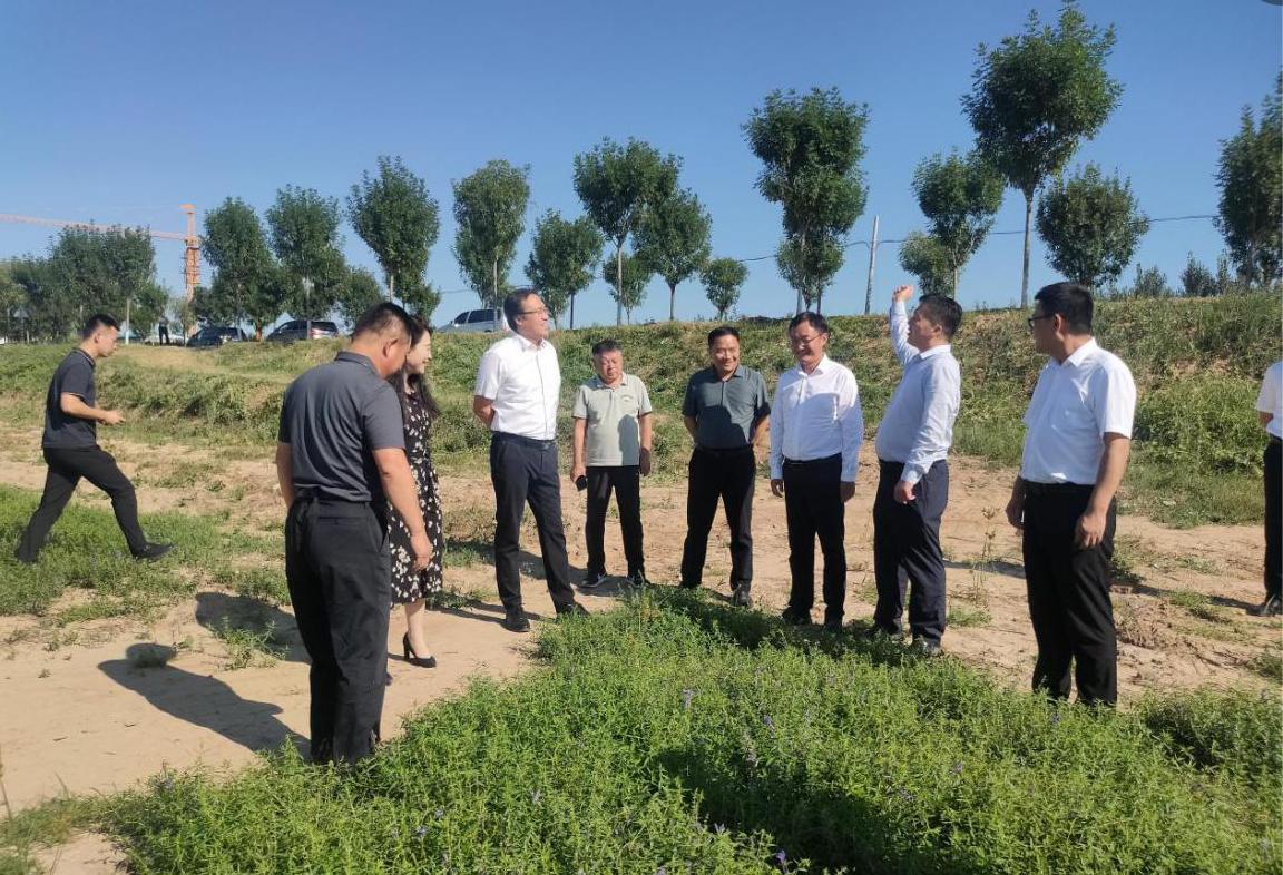 1695348164452863.jpg 1695348164452863.jpg