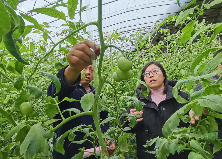 1706862951409814.jpg 1706862951409814.jpg