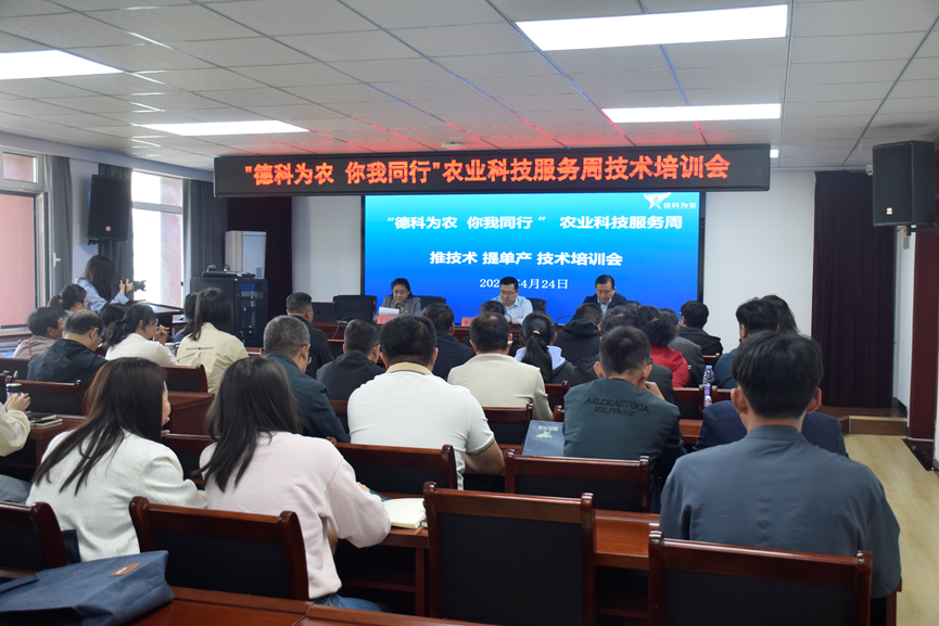 1714297367505044.png 1714297367505044.png