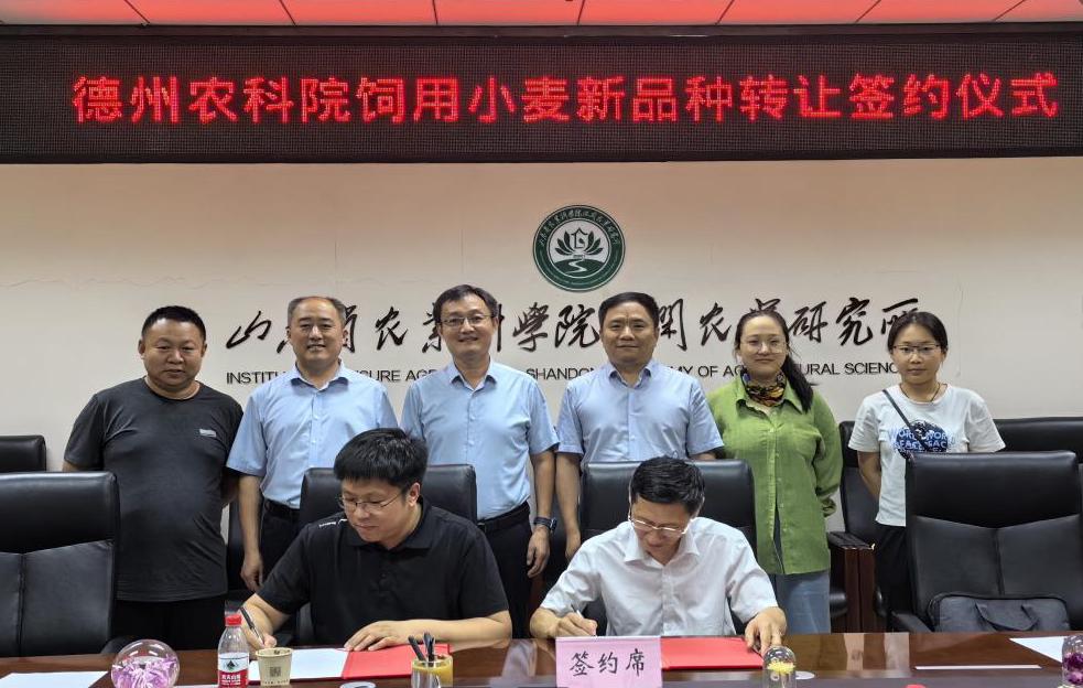 1719216992126476.jpg 1719216992126476.jpg