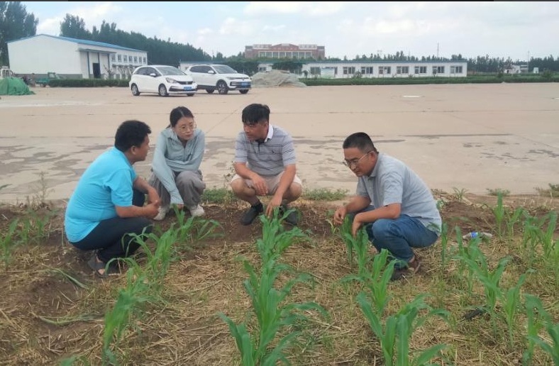 1751450483455317.jpg 1751450483455317.jpg