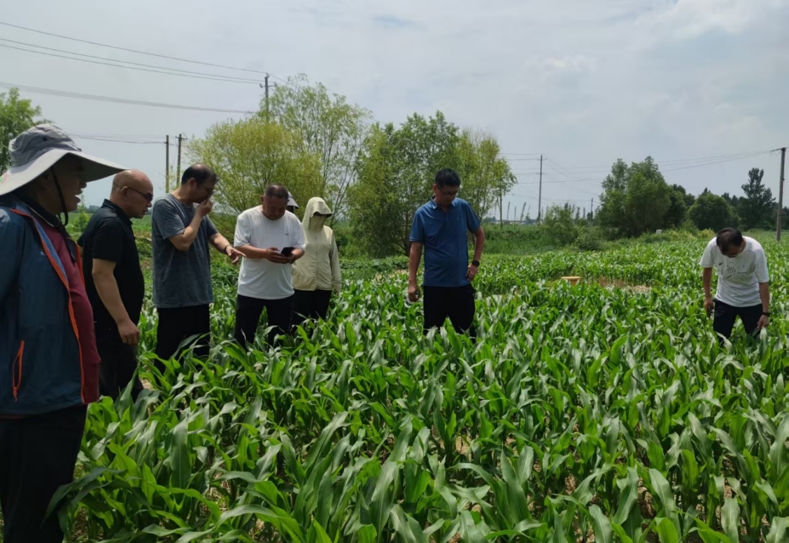 1752217388204142.jpg 1752217388204142.jpg