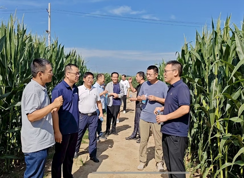 1755858109133475.jpg 1755858109133475.jpg