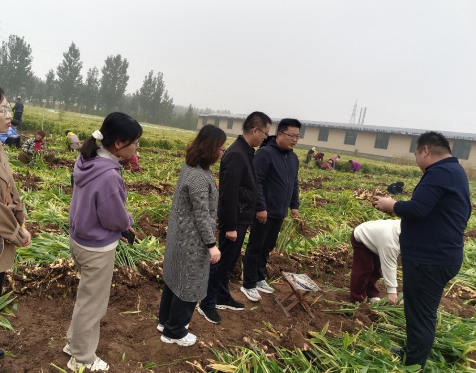 1762141591845340.jpg 1762141591845340.jpg